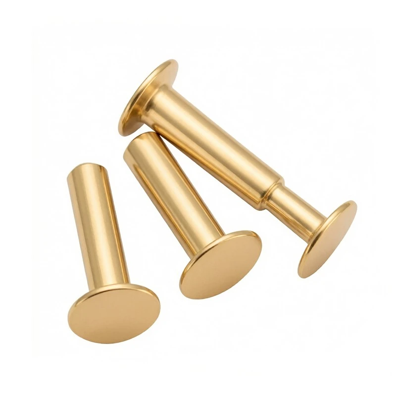 Tight Fit Paired Rivets suppliers